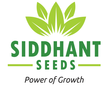 Siddhant Seeds